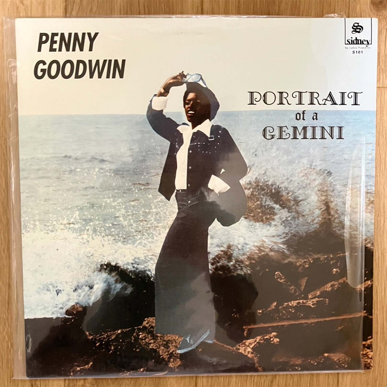 Penny Goodwin『Portrait of a Gemini』