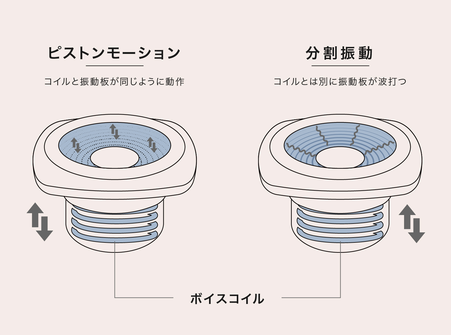 構造が違う1ウェイとマルチウェイは、振動板の動きも違う