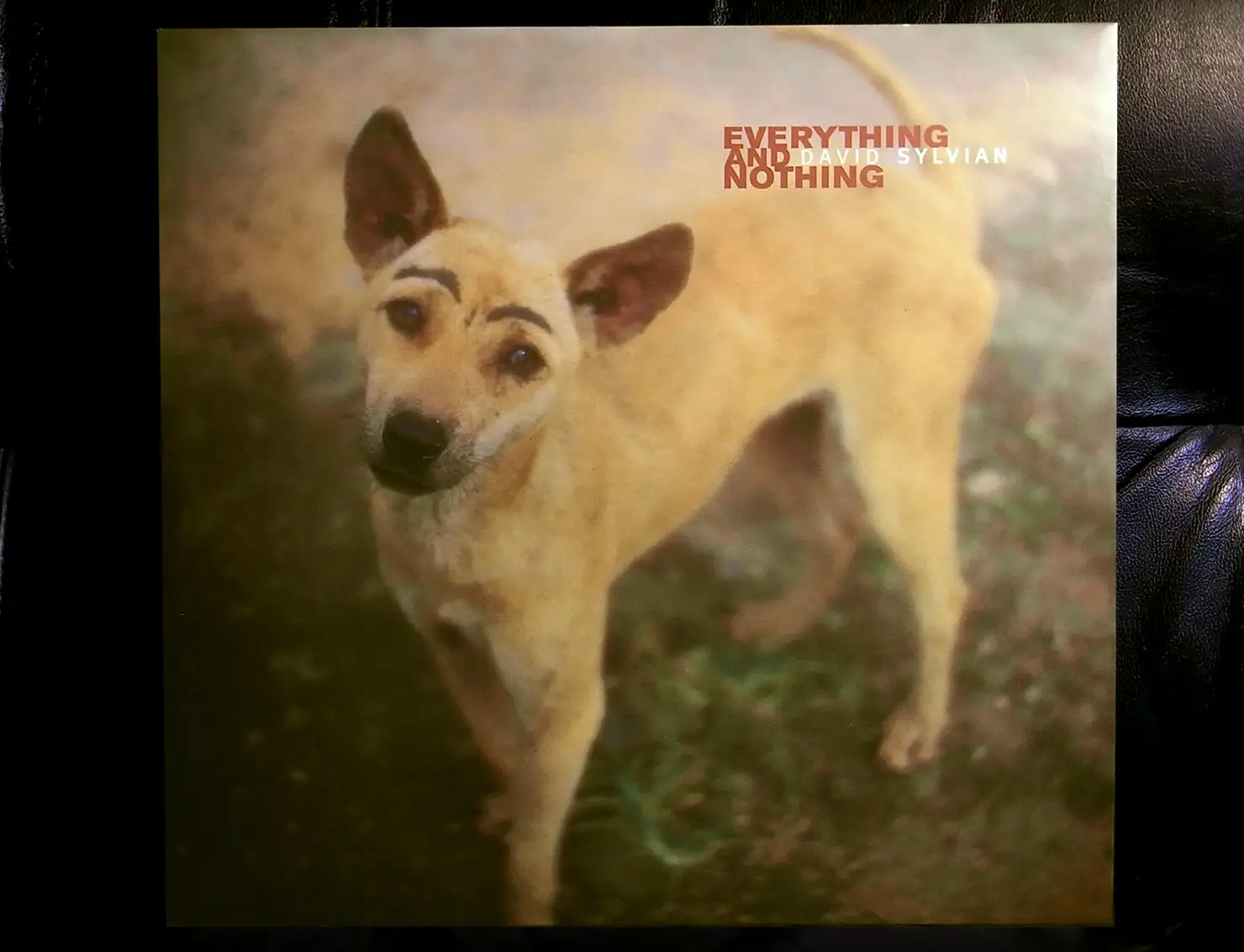 音がいいにもほどがある! 〜第10回デヴィッド・シルヴィアン『Everything & Nothing』