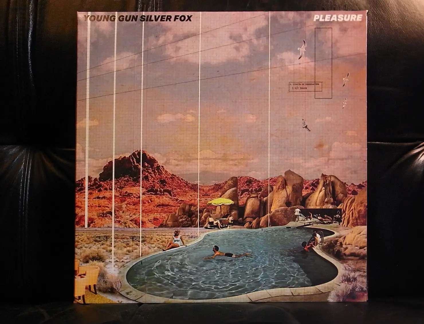 音がいいにもほどがある!〜第14回ヤング・ガン・シルヴァー・フォックス『Pleasure』